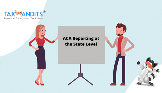 A Guide to ACA Reporting at the State Level