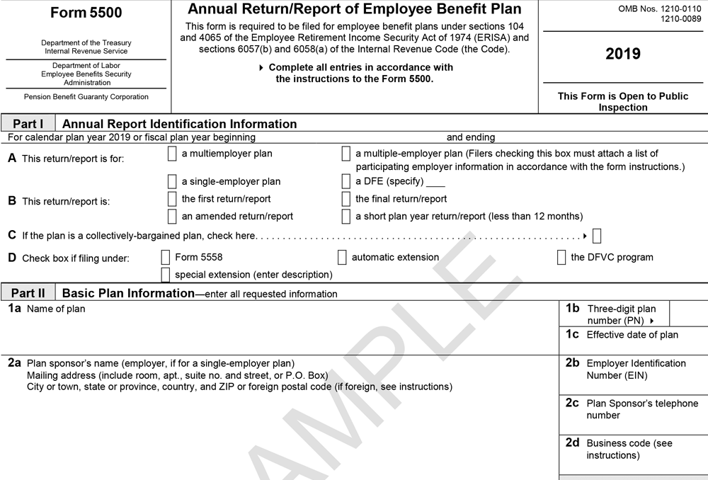 Form 5500 for 2020