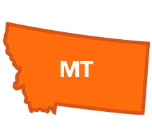 Montana State Filing Requirements