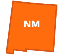 Mexico State Filing Requirements
