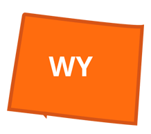 Wyoming State Filing Requirements