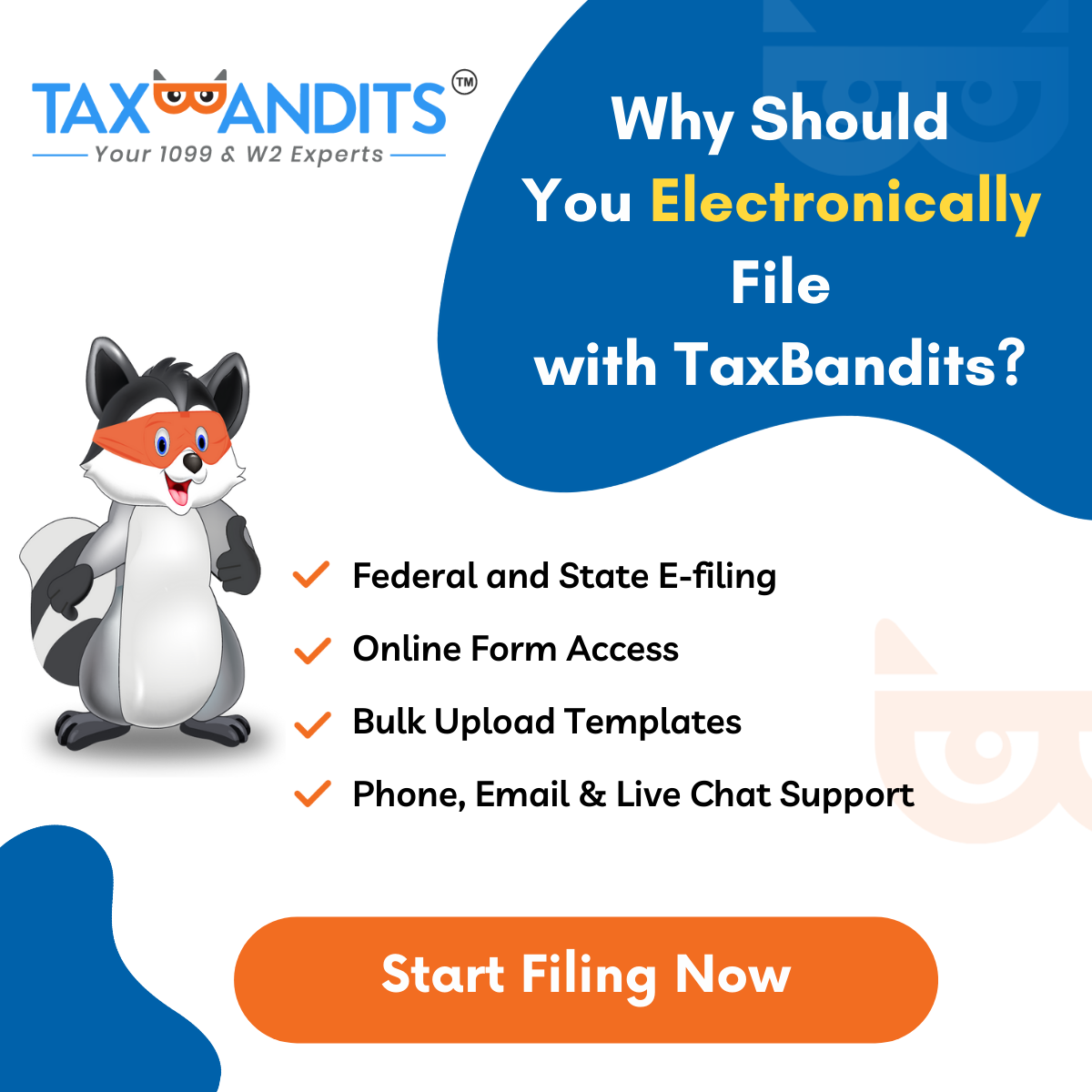 1099 Electronic Filing Requirements 2024