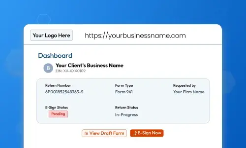 Secure, branded client portal